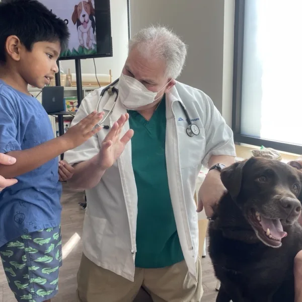 FirstSteps for friends camper meeting chocolate lab at Calabasas clinic